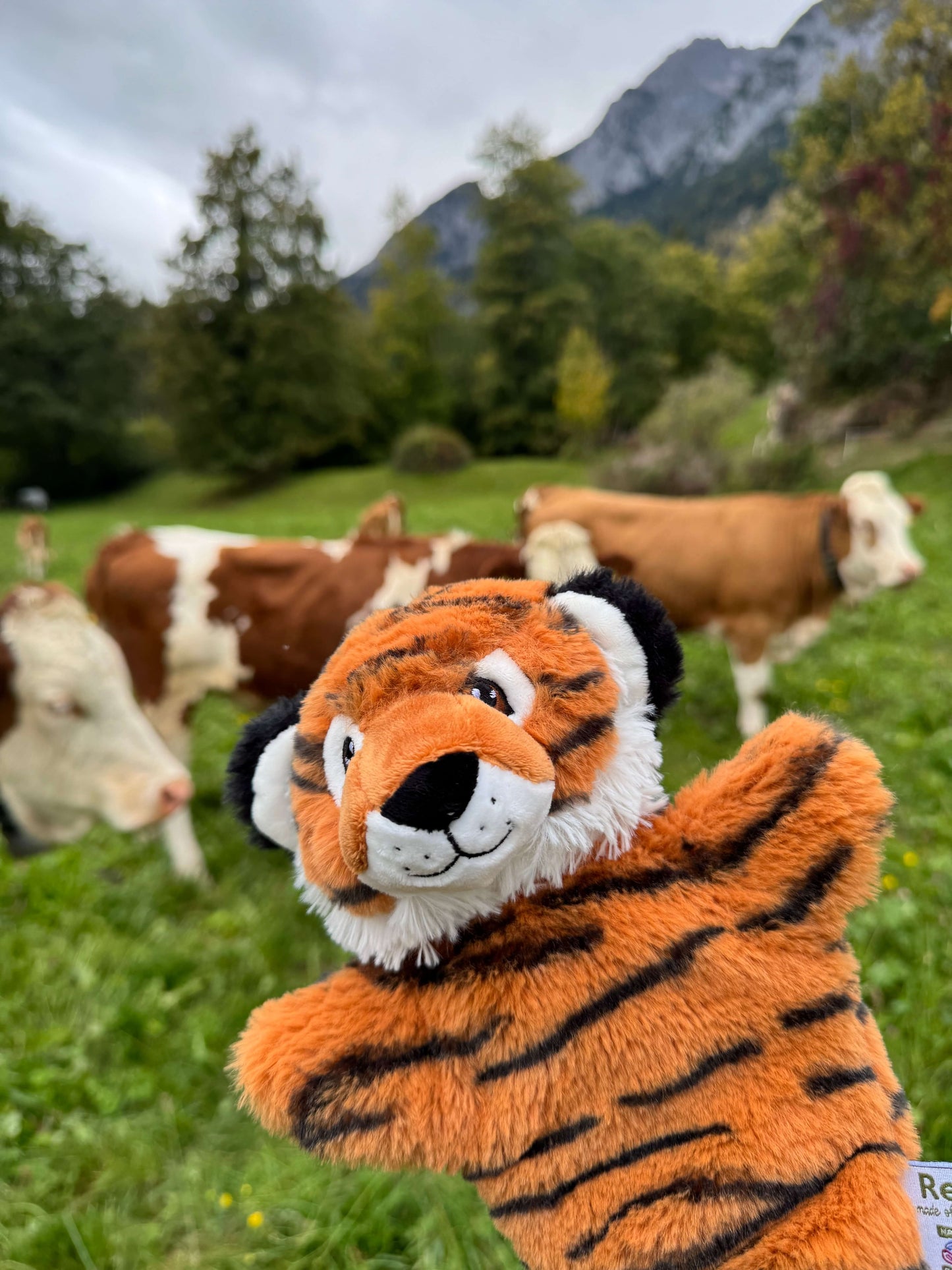 Tiger Handpuppe für Kinder | TigerKids Lern- und Spielpuppe